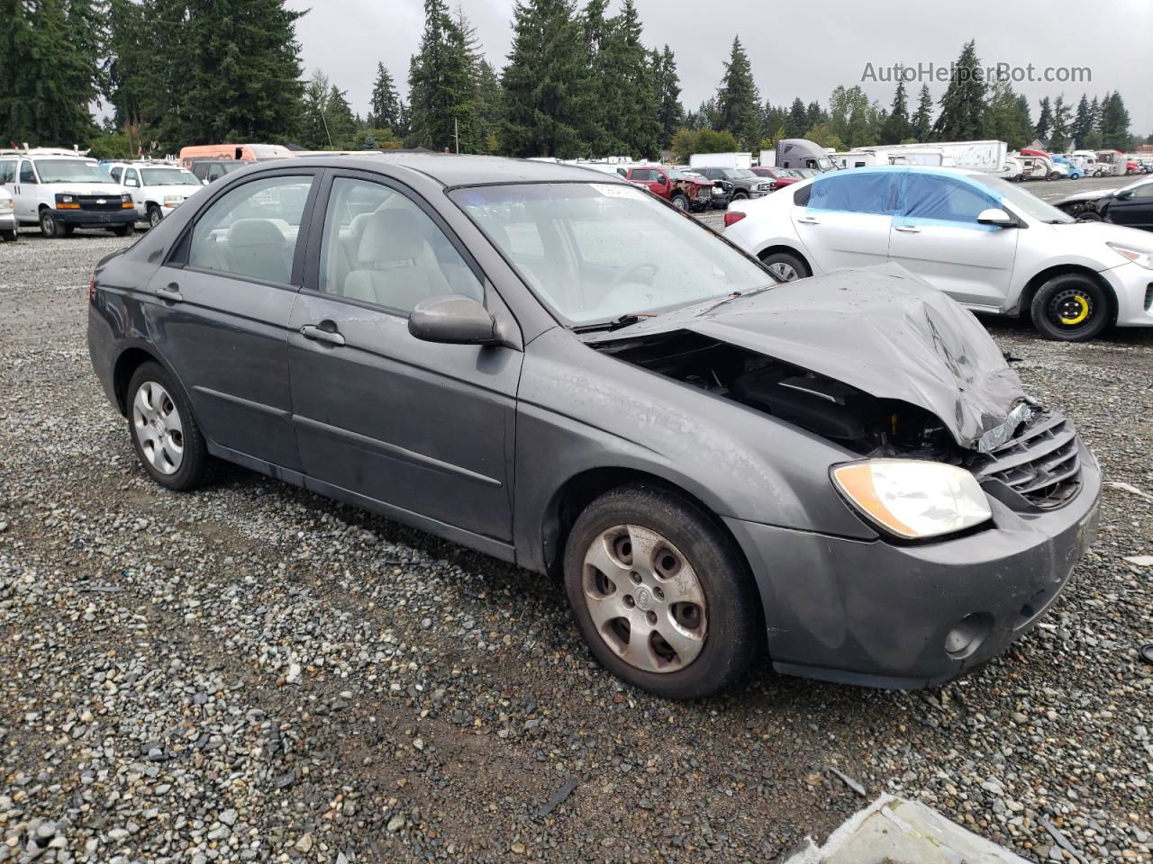 2006 Kia Spectra Lx Серый vin: KNAFE121065254873