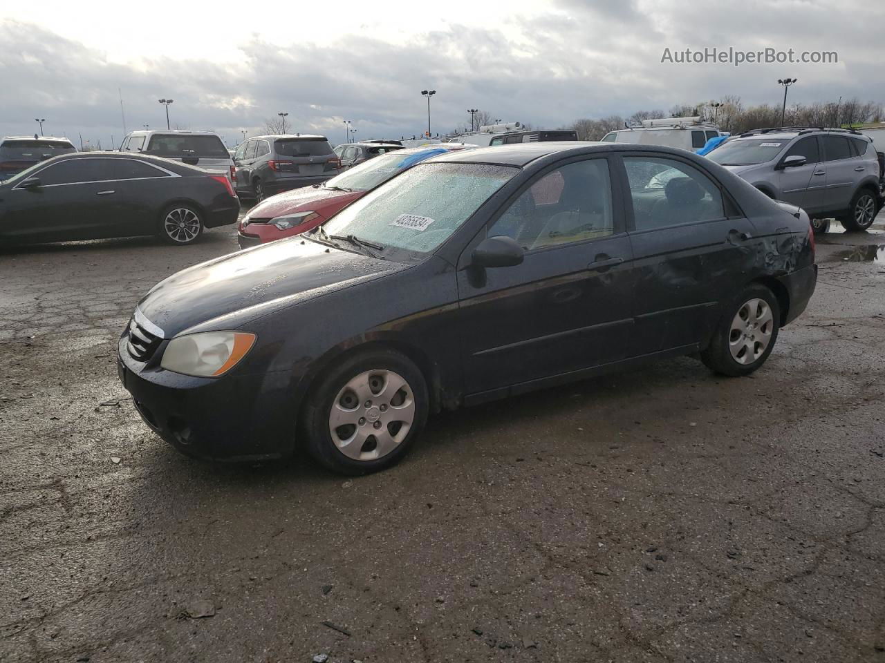 2006 Kia Spectra Lx Black vin: KNAFE121065349496