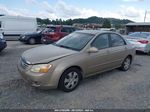 2007 Kia Spectra Ex Золотой vin: KNAFE121375486403