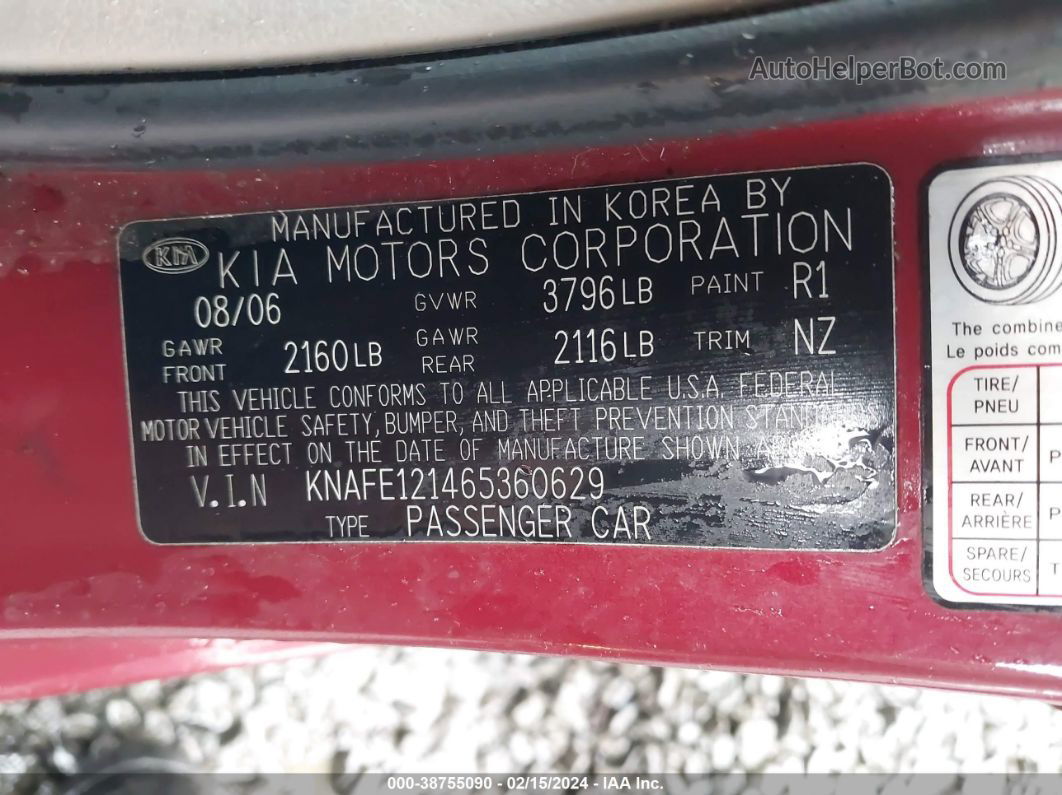 2006 Kia Spectra Ex/lx/sx Red vin: KNAFE121465360629