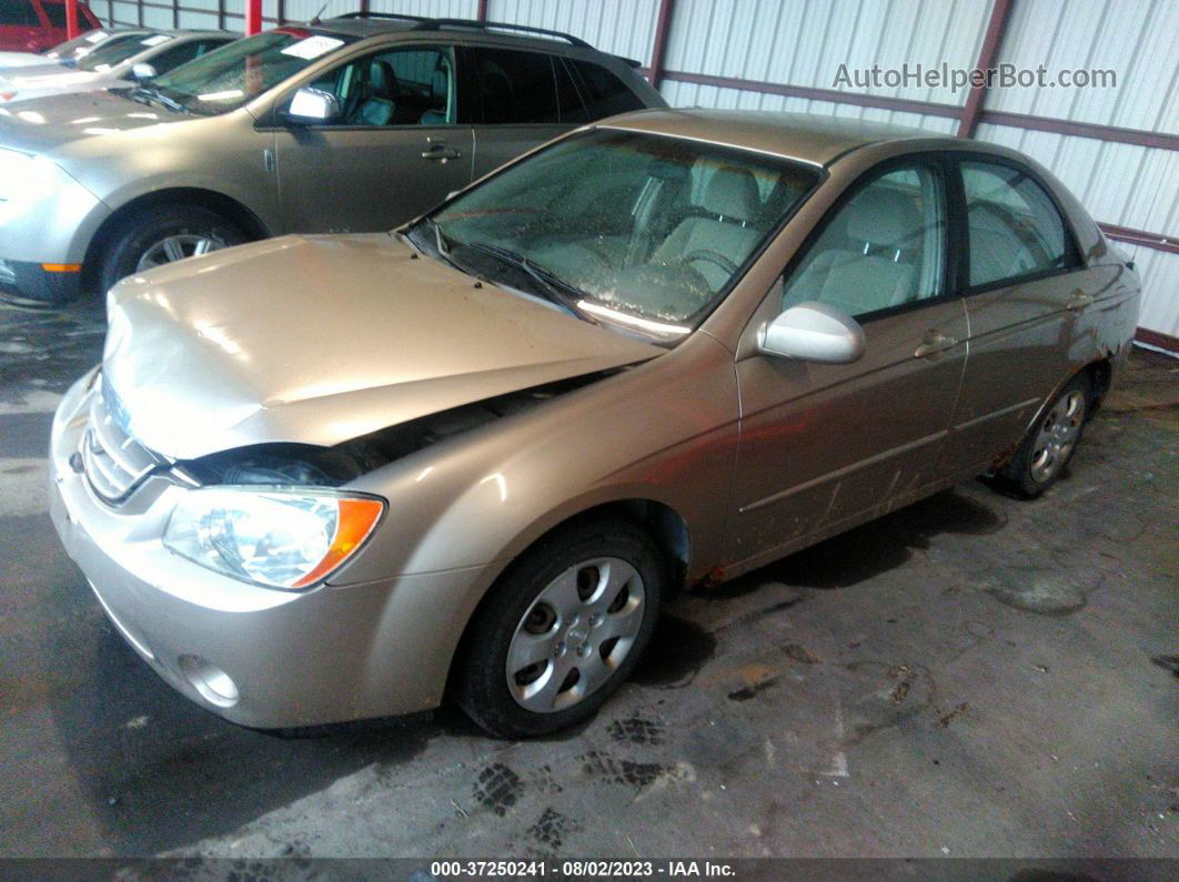 2006 Kia Spectra Ex/sx/lx Tan vin: KNAFE121665358722