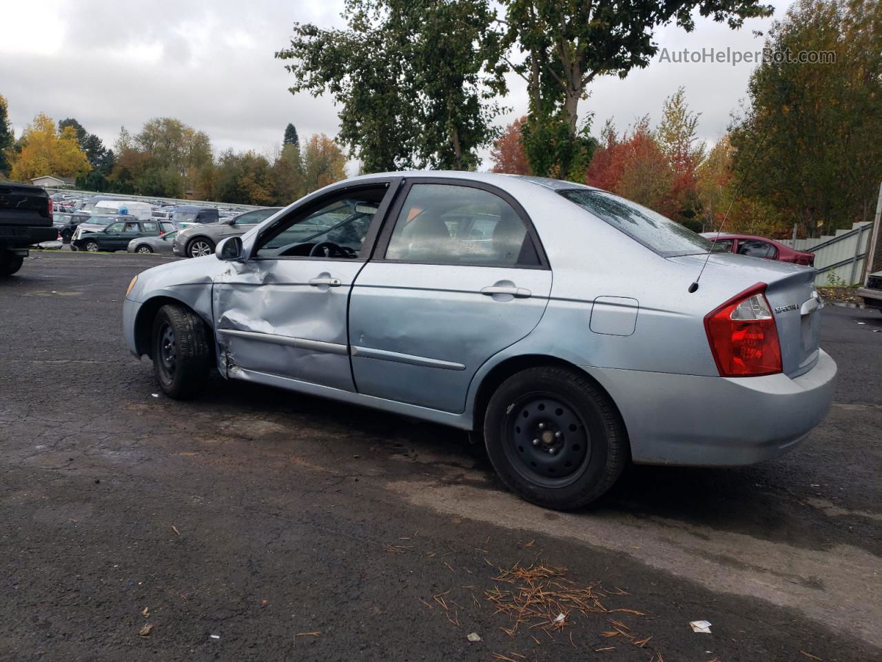 2005 Kia Spectra Lx Silver vin: KNAFE121955169190