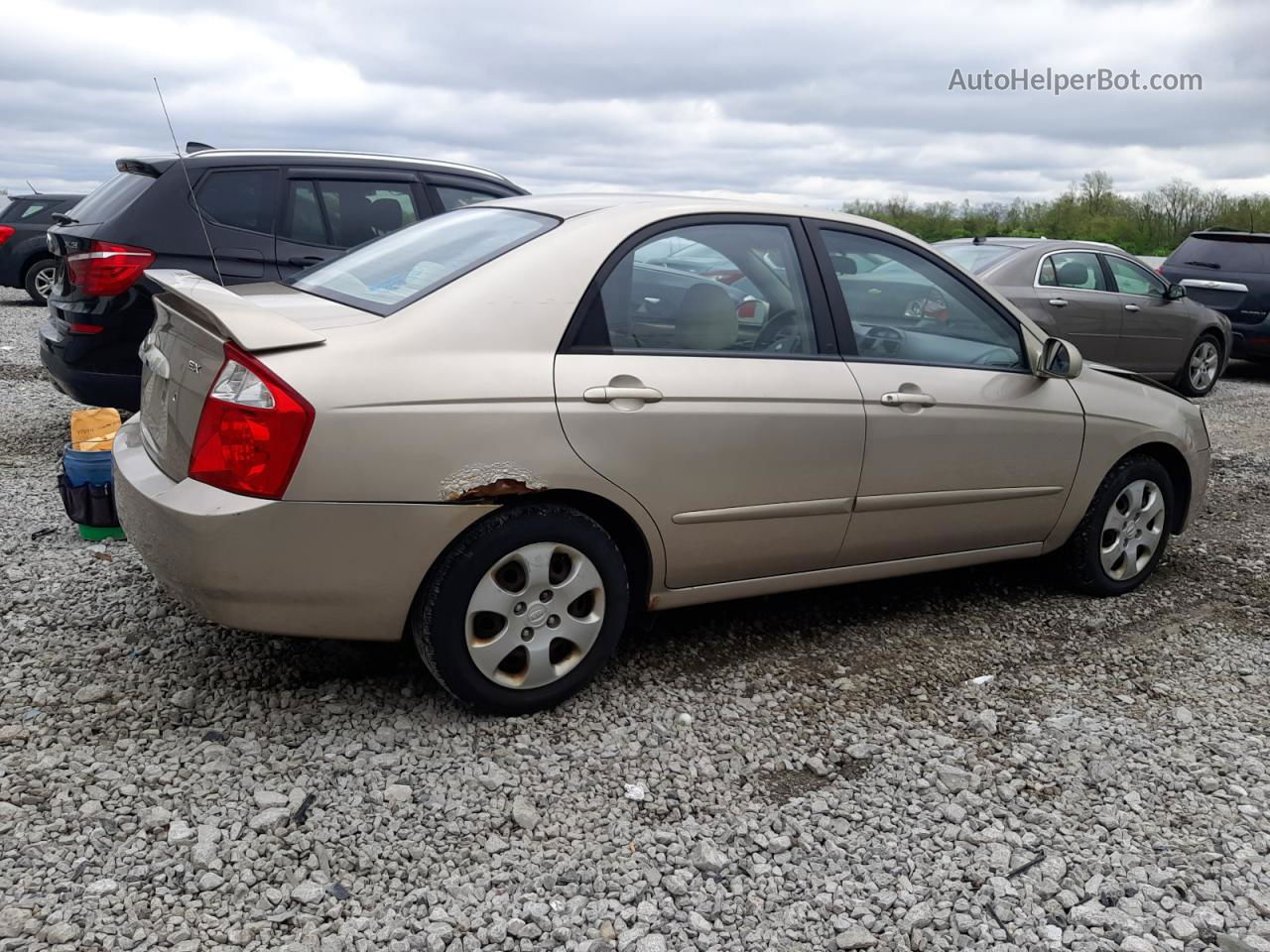 2006 Kia Spectra Lx Желто-коричневый vin: KNAFE121965309675