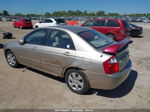 2006 Kia Spectra Ex/sx/lx Gold vin: KNAFE121X65364975