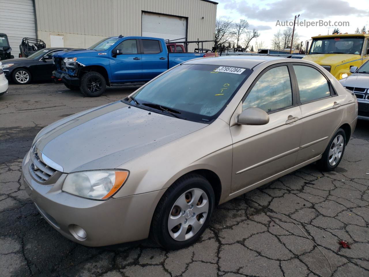 2006 Kia Spectra Lx Beige vin: KNAFE122665255860