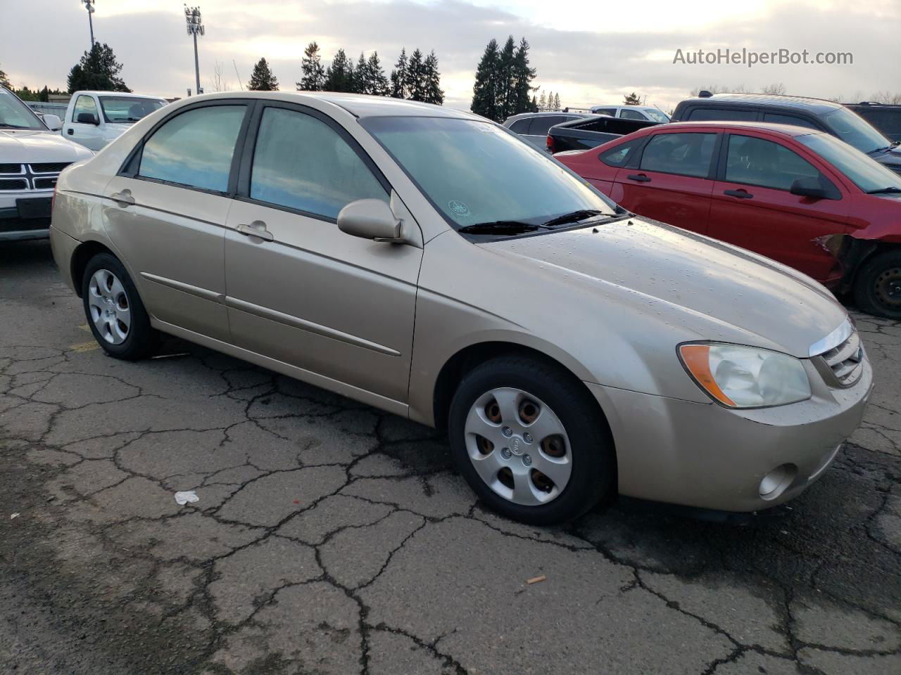 2006 Kia Spectra Lx Beige vin: KNAFE122665255860