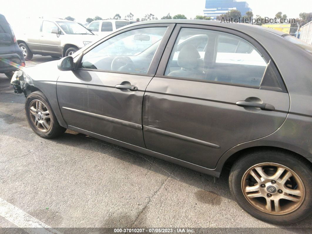 2005 Kia Spectra Lx/ex/sx Gray vin: KNAFE122855094619