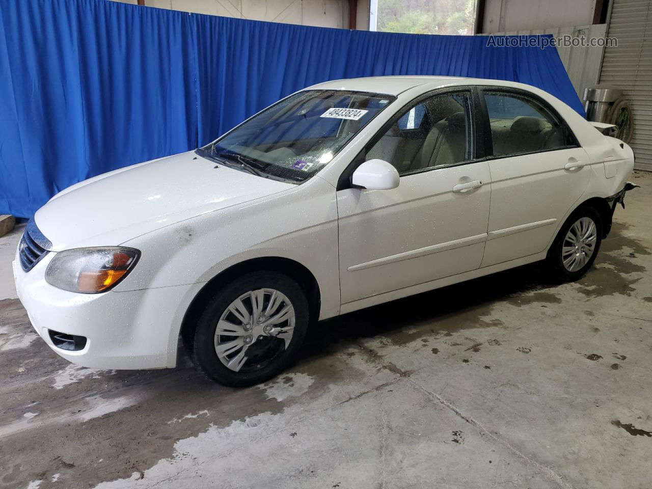 2009 Kia Spectra Ex White vin: KNAFE221195668755