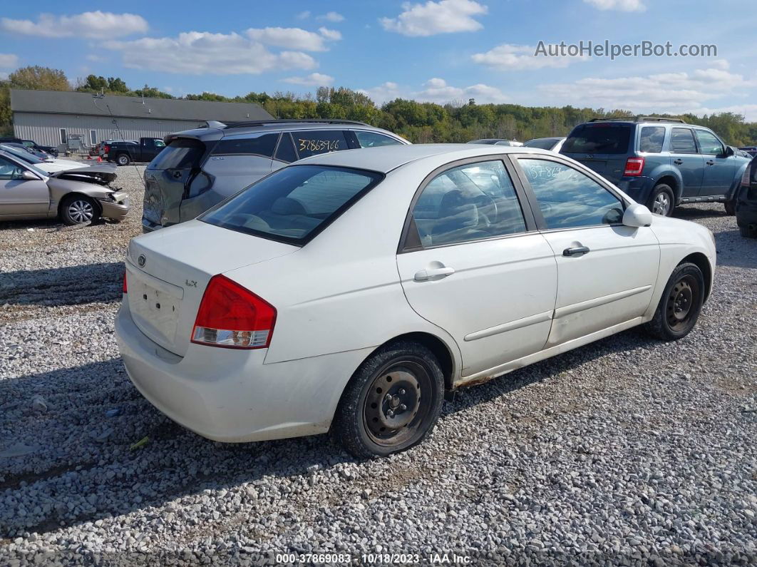 2009 Kia Spectra Lx White vin: KNAFE221295654203