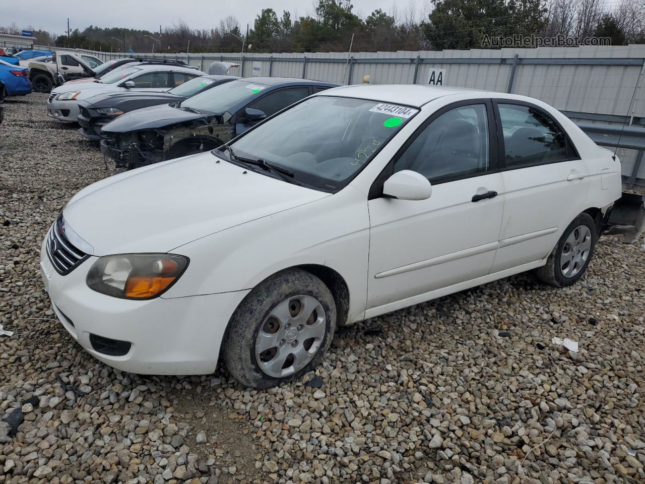 2009 Kia Spectra Ex White vin: KNAFE221495656762