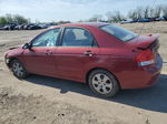 2009 Kia Spectra Ex Burgundy vin: KNAFE221595619851