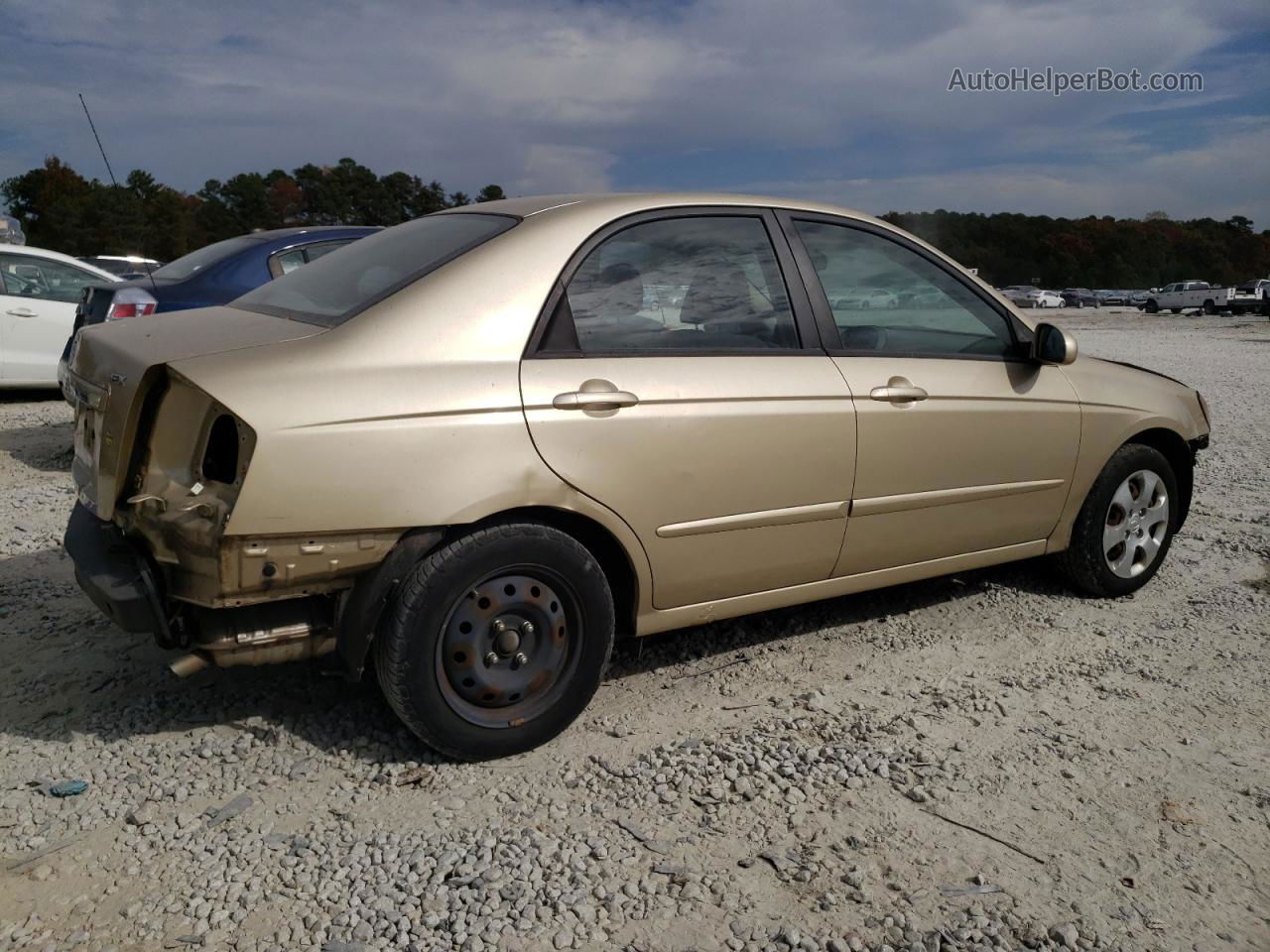 2009 Kia Spectra Ex Beige vin: KNAFE221695655709