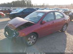 2009 Kia Spectra Ex Red vin: KNAFE221995650987