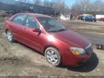 2009 Kia Spectra Ex Red vin: KNAFE221X95650951