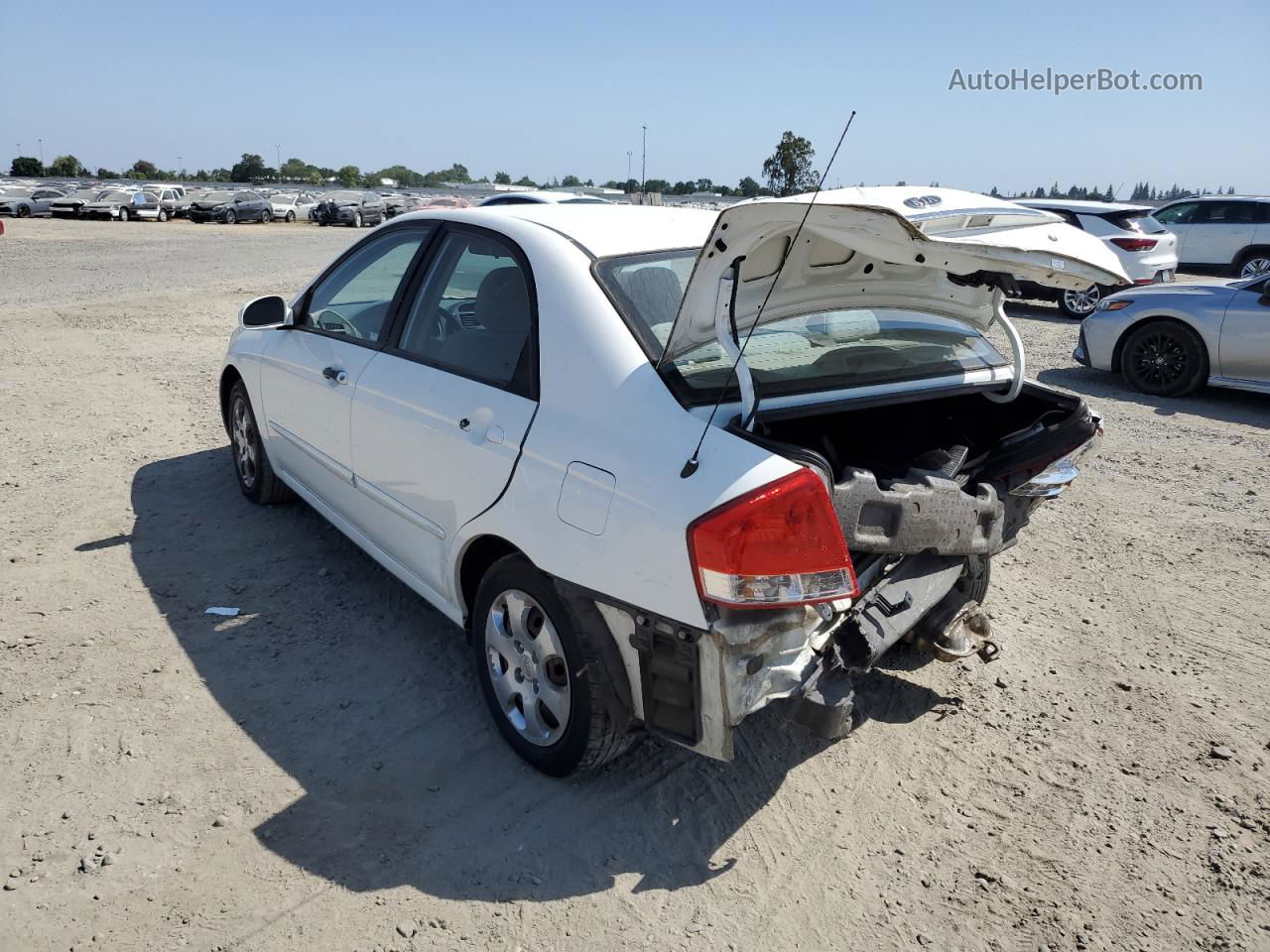 2009 Kia Spectra Ex Белый vin: KNAFE222095663412