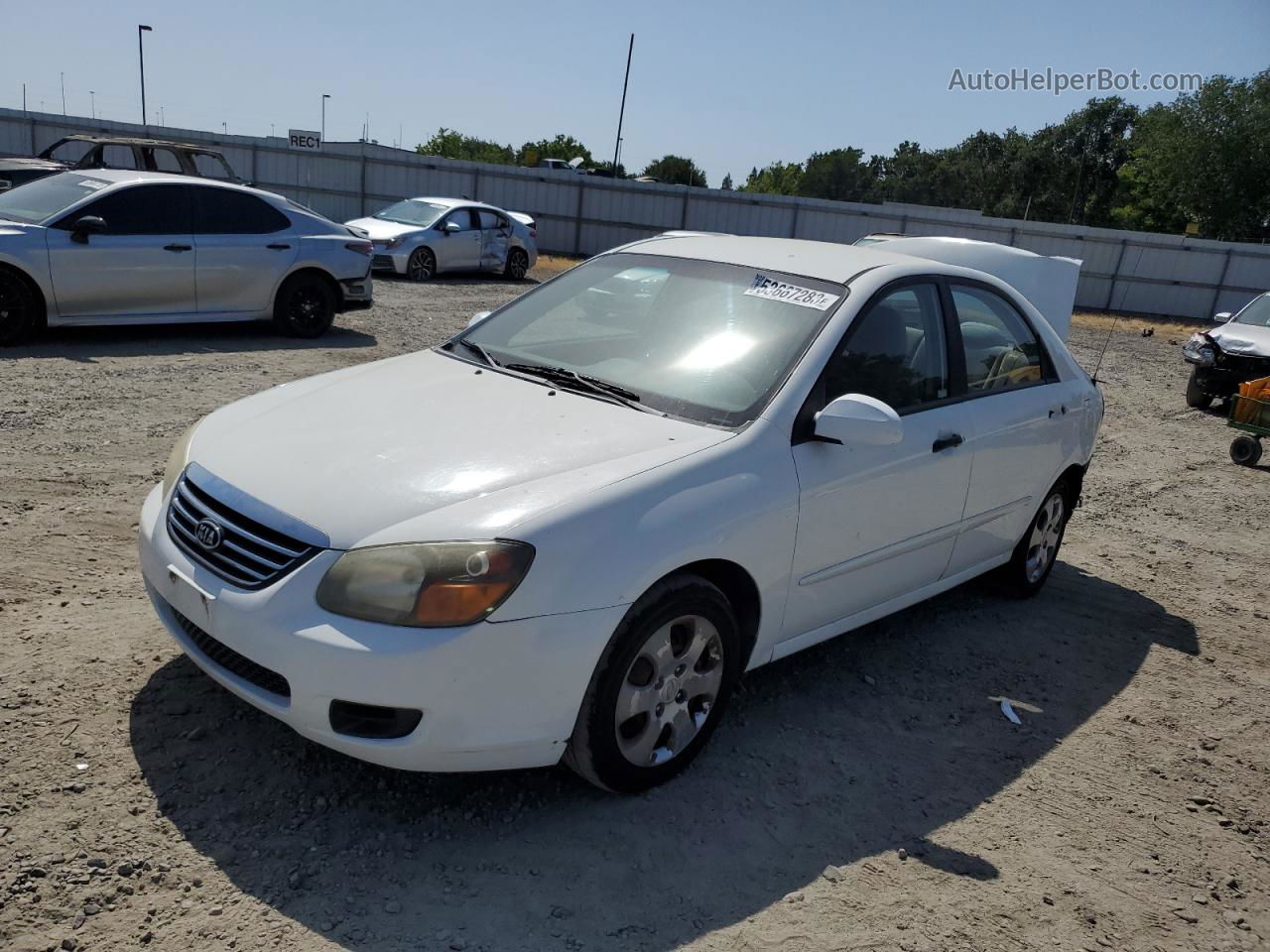 2009 Kia Spectra Ex Белый vin: KNAFE222095663412