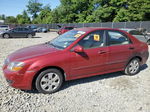 2009 Kia Spectra Ex Red vin: KNAFE222395665333