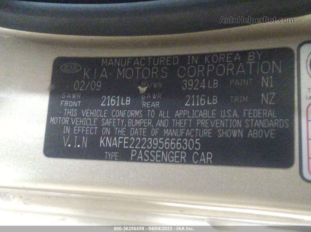 2009 Kia Spectra Ex Gold vin: KNAFE222395666305