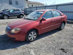 2009 Kia Spectra Ex Red vin: KNAFE222595639591