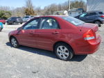 2009 Kia Spectra Ex Red vin: KNAFE222595639591