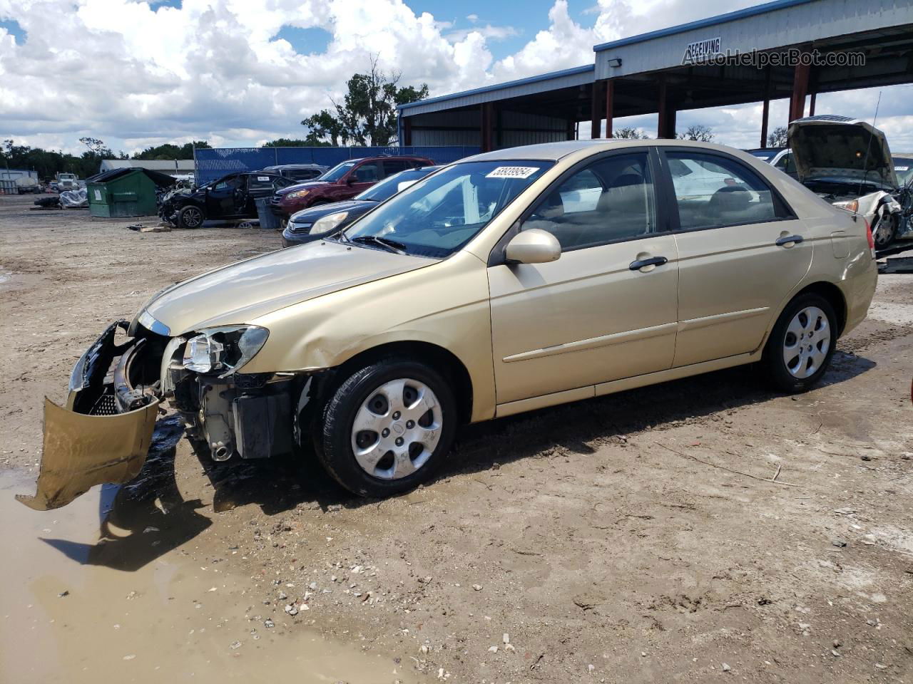 2009 Kia Spectra Ex Gold vin: KNAFE222895652979