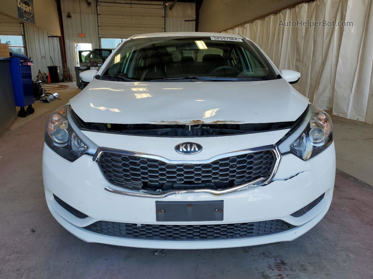 2016 Kia Forte Lx White vin: KNAFK4A64G5619533