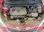 2016 Kia Forte Lx Red vin: KNAFK4A65G5573310