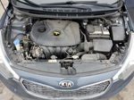 2016 Kia Forte Lx Gray vin: KNAFK4A68G5611483