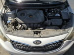 2016 Kia Forte Lx Белый vin: KNAFK4A6XG5591446