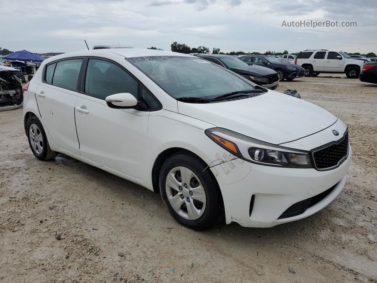 2017 Kia Forte Lx Белый vin: KNAFK5A81H5677009