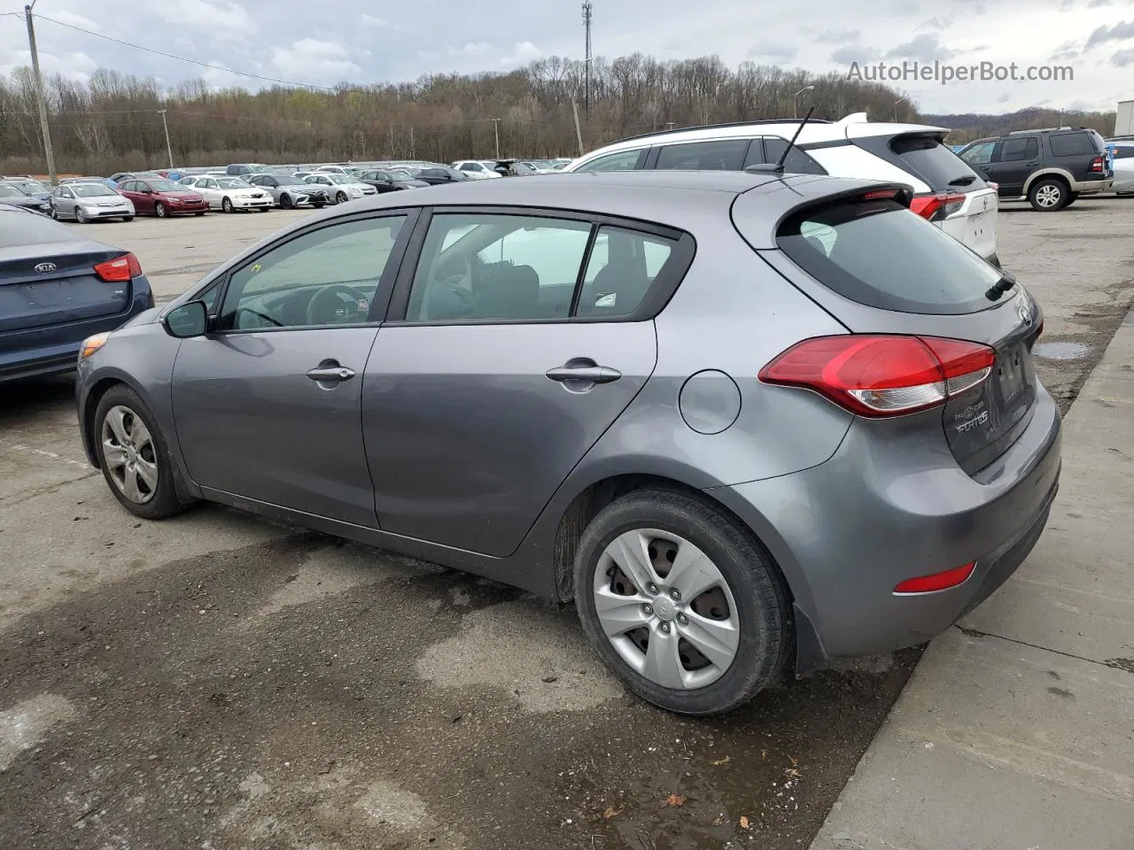 2016 Kia Forte Lx Gray vin: KNAFK5A84G5654614