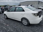 2012 Kia Forte Lx White vin: KNAFT4A20C5486208