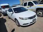 2012 Kia Forte Lx vin: KNAFT4A23C5598498