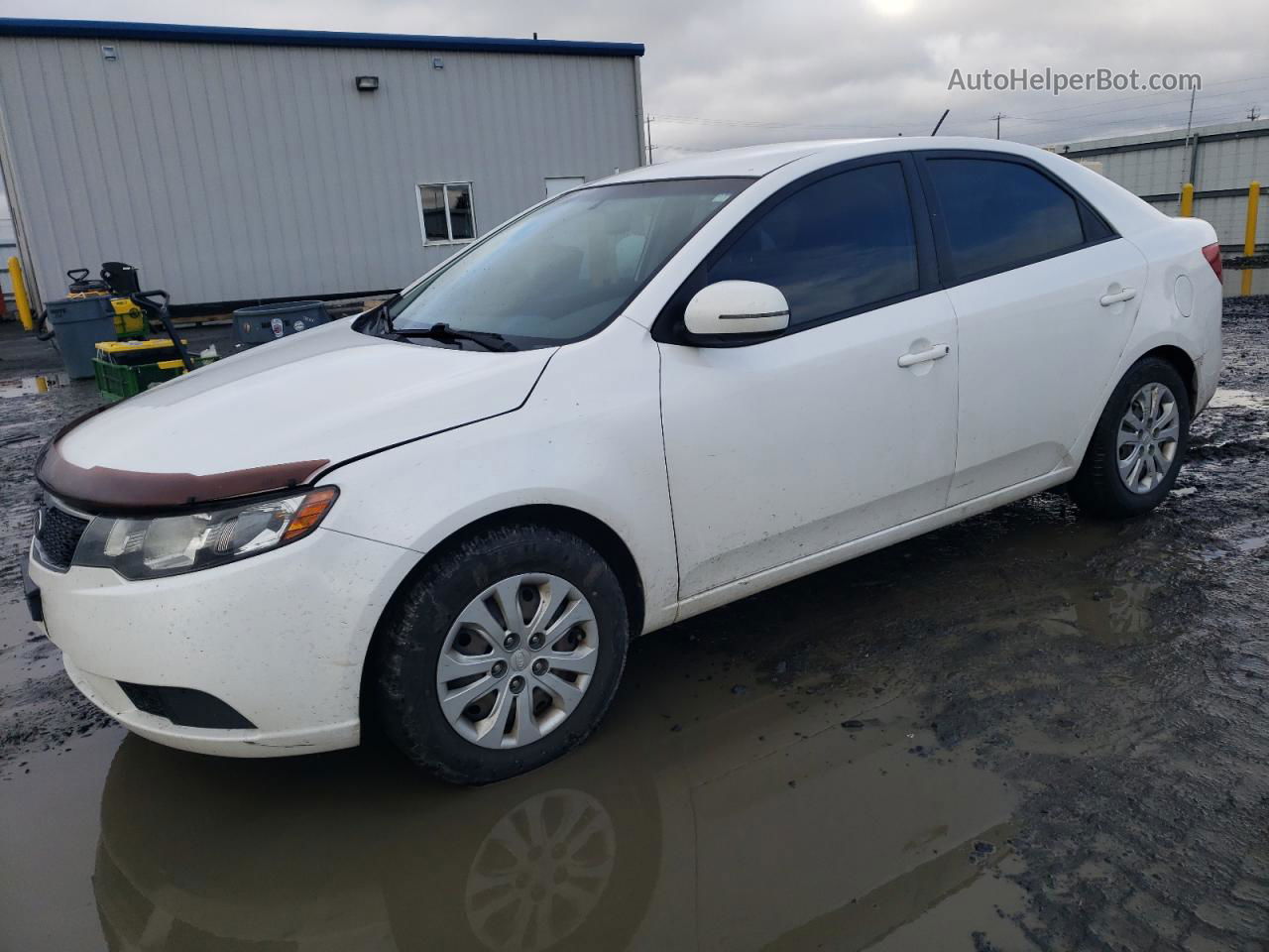 2012 Kia Forte Ex White vin: KNAFU4A29C5557662