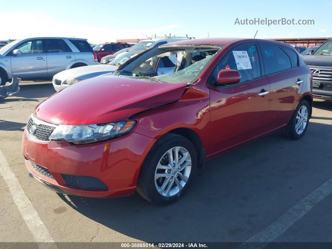 2012 Kia Forte Ex Красный vin: KNAFU5A24C5568414