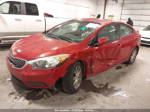 2016 Kia Forte Lx Красный vin: KNAFX4A60G5592252