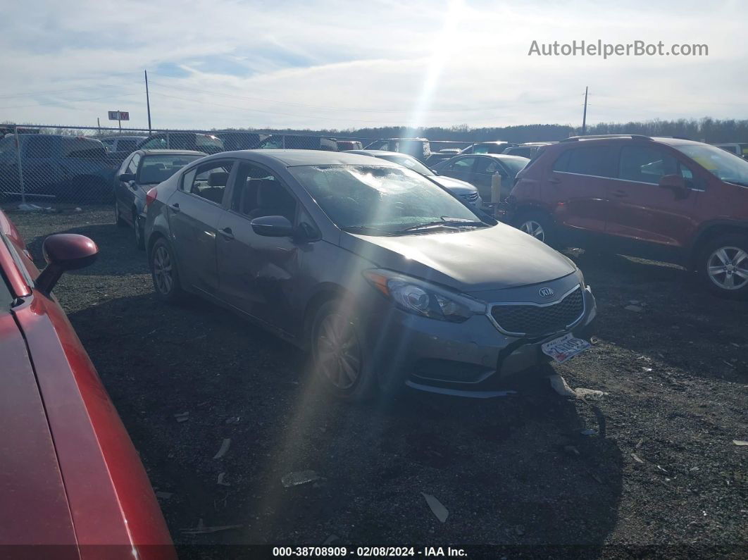 2016 Kia Forte Lx Gray vin: KNAFX4A66G5610480