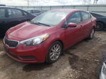 2016 Kia Forte Lx Красный vin: KNAFX4A67G5502448