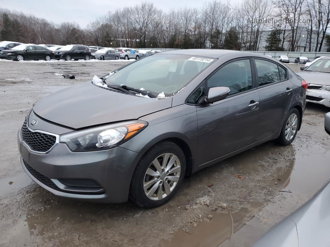 2016 Kia Forte Lx Silver vin: KNAFX4A69G5589995