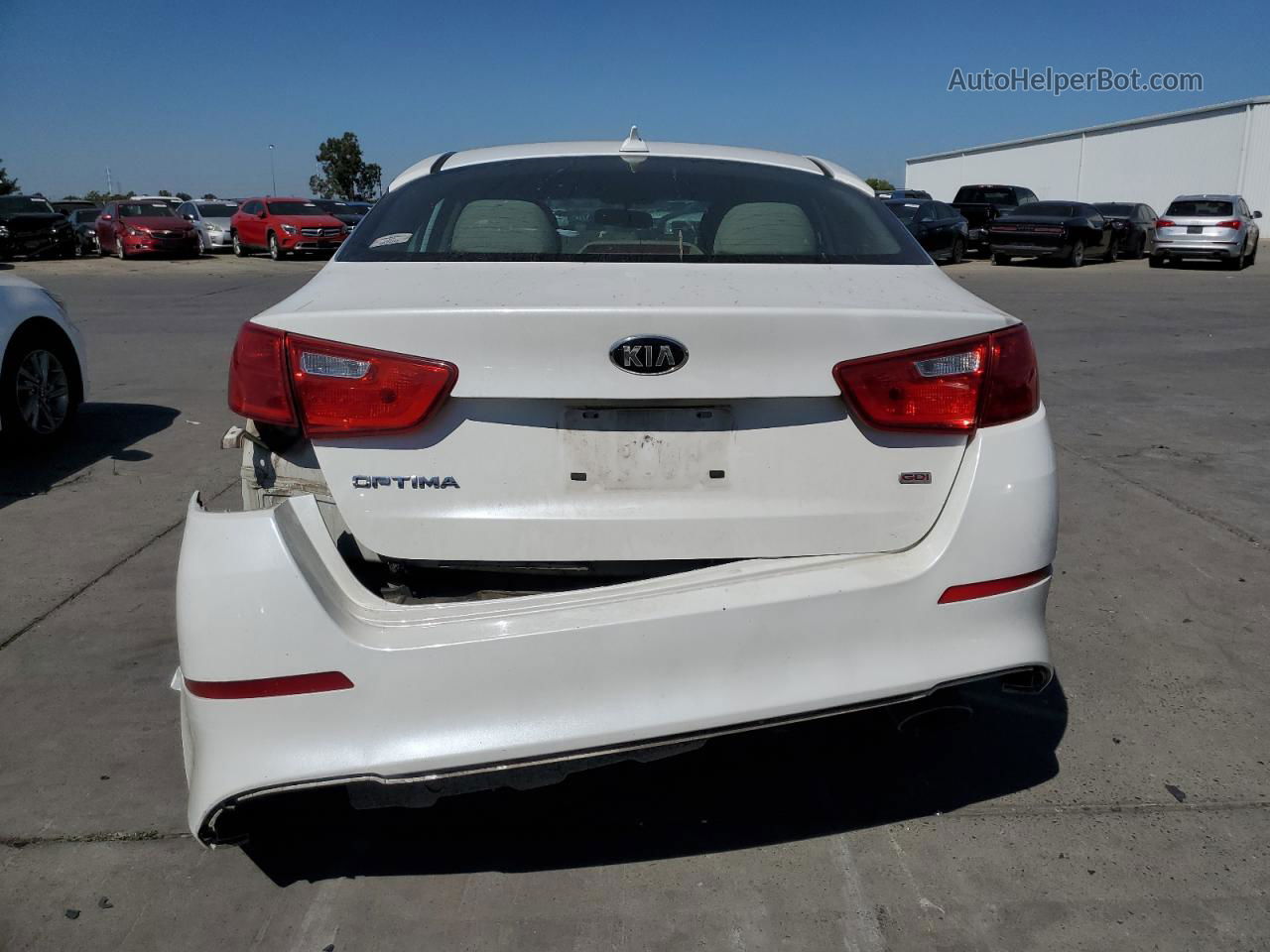 2015 Kia Optima Lx Белый vin: KNAGM4A70F5558252