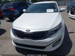 2015 Kia Optima Lx White vin: KNAGM4A70F5664846