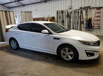 2015 Kia Optima Lx White vin: KNAGM4A71F5566716