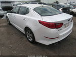 2015 Kia Optima Lx Белый vin: KNAGM4A72F5535510