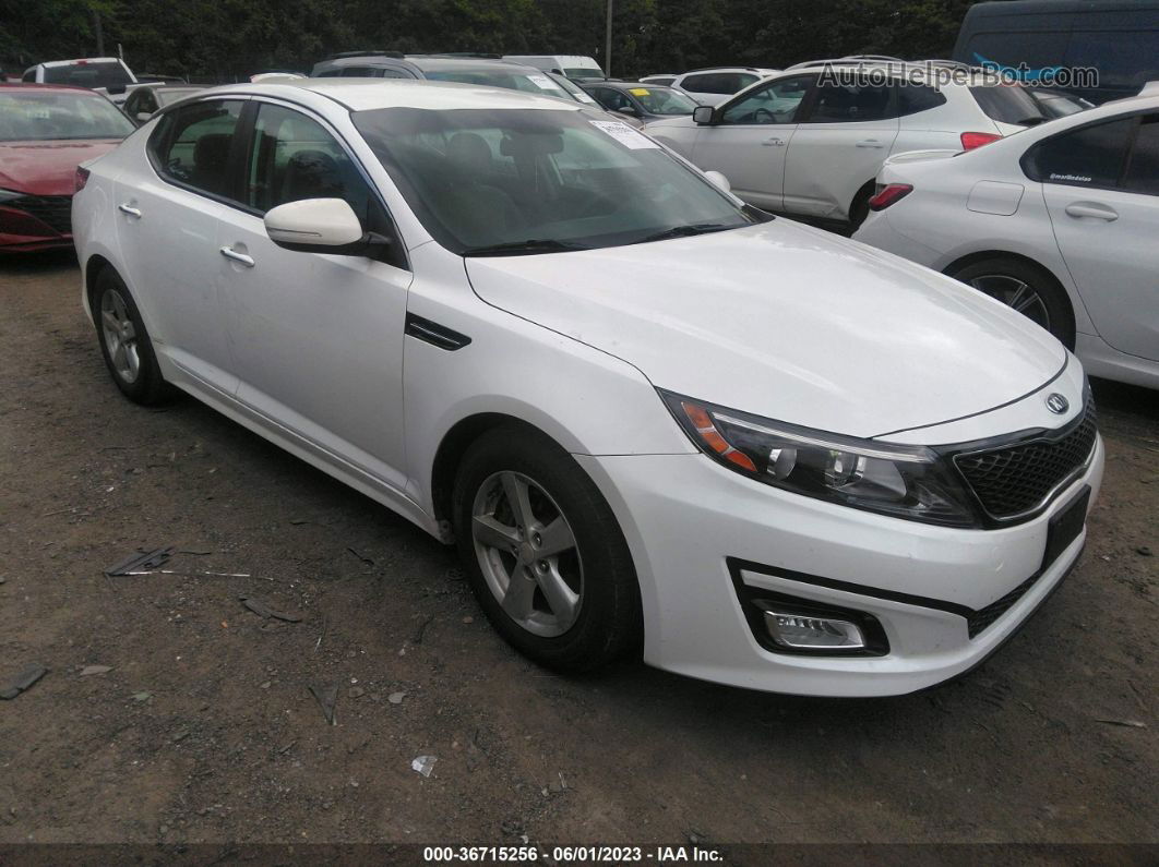 2015 Kia Optima Lx Белый vin: KNAGM4A72F5535510