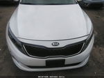 2015 Kia Optima Lx Белый vin: KNAGM4A72F5535510