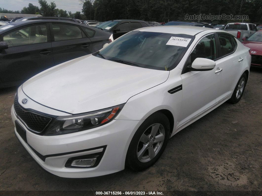 2015 Kia Optima Lx Белый vin: KNAGM4A72F5535510