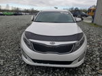 2015 Kia Optima Lx White vin: KNAGM4A72F5576669