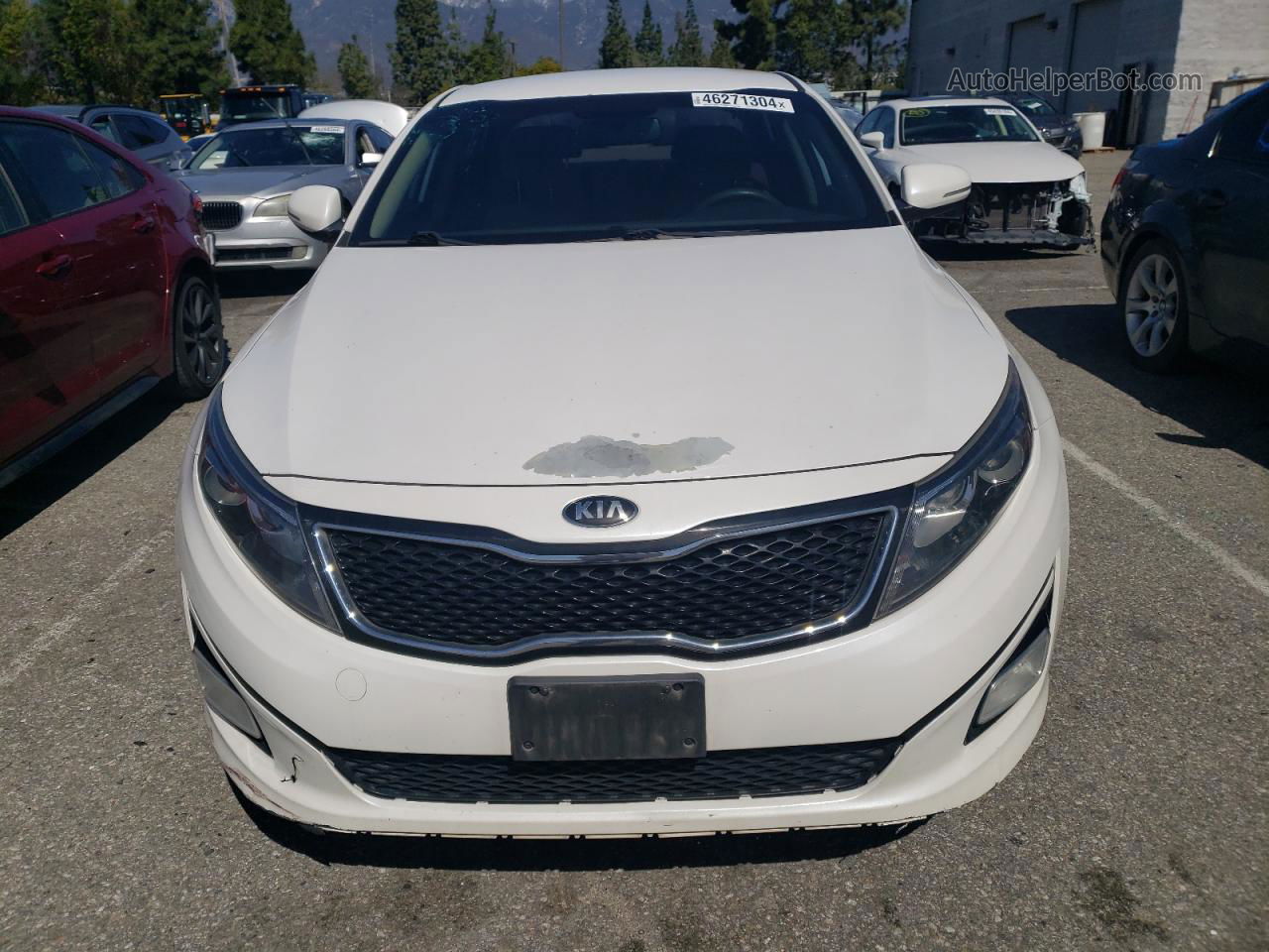 2015 Kia Optima Lx Белый vin: KNAGM4A74F5529871