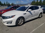 2015 Kia Optima Lx Белый vin: KNAGM4A74F5529871