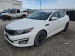 2015 Kia Optima Lx White vin: KNAGM4A74F5558304